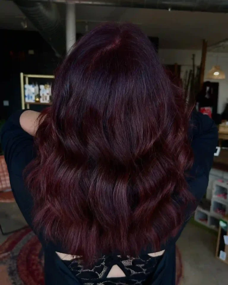 Deep burgundy hair color with rich wine tones and soft dimensional shine at Studio 303 in Englewood, CO